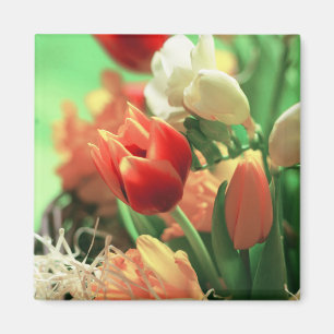 Imán Feliz Tulips de Pascua
