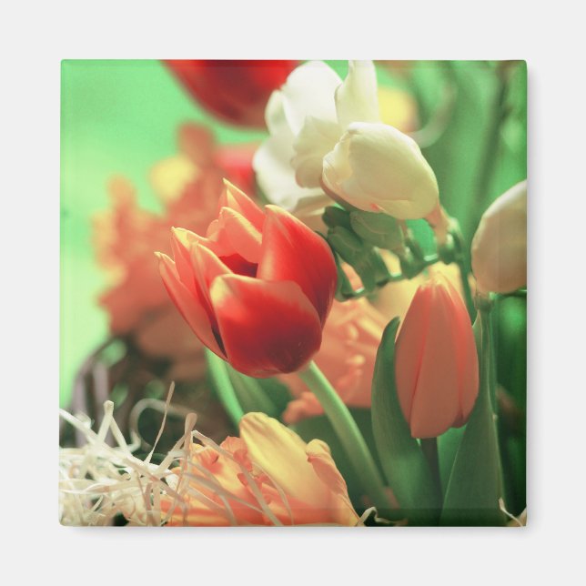 Imán Feliz Tulips de Pascua (Frente)