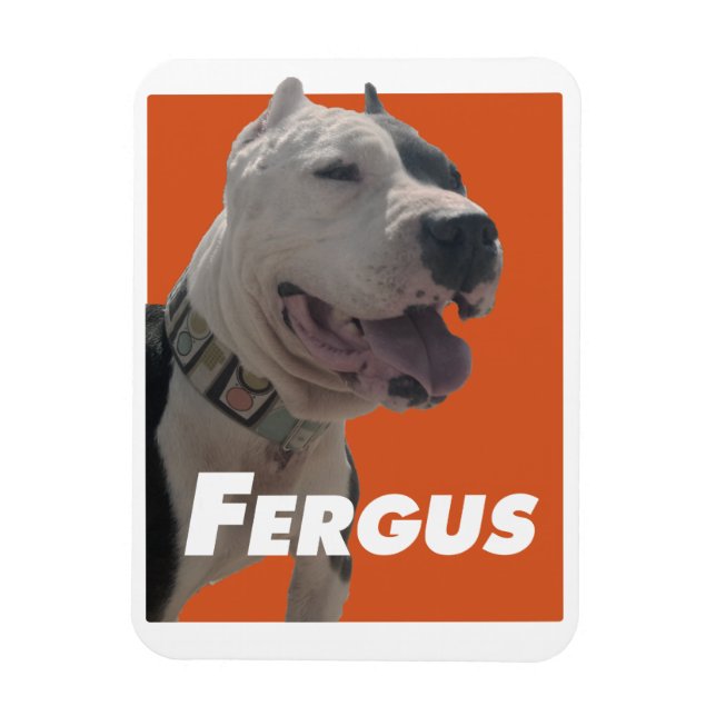Imán Fergus The Barbers Dog (Vertical)