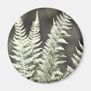 Imán Fern Artistic Abstract