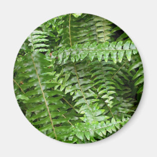 Imán Fern Fronds I Green Nature