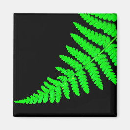 Imán Fern Magnet