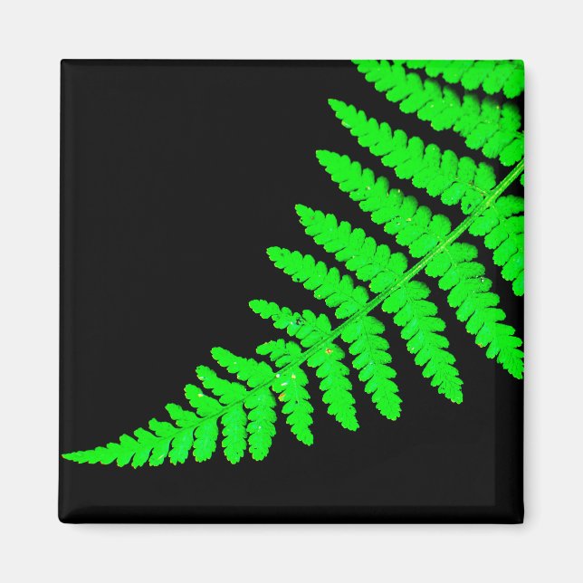 Imán Fern Magnet (Frente)