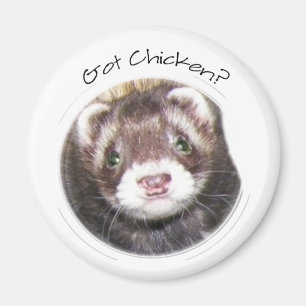 Imán Ferret Face Picture
