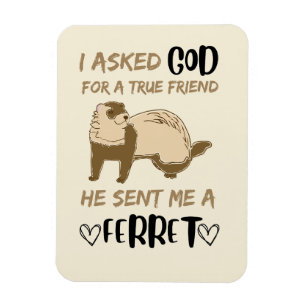 Imán Ferret Friend Adorable Funny Mascota Animal Bestie