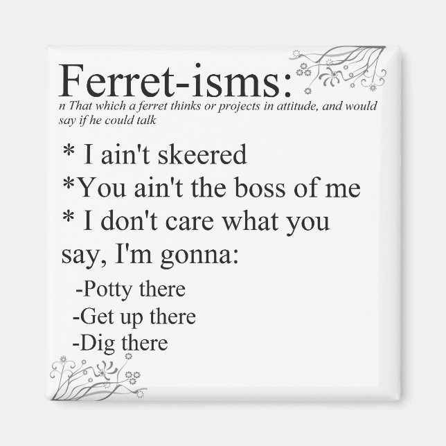 Imán Ferret Sayings o Ferret-isms (Frente)