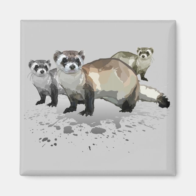 Imán Ferrets (Frente)