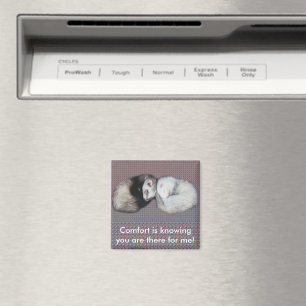 Imán Ferrets Sweet Dreams