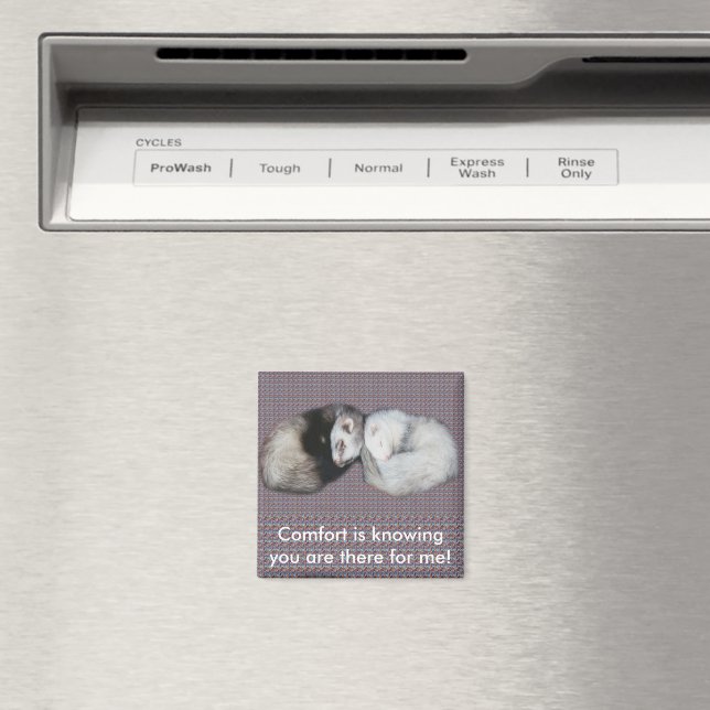 Imán Ferrets Sweet Dreams (In situ (lavavajillas))