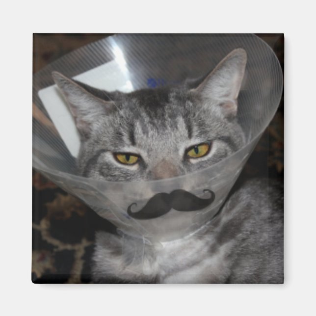 Imán ferris mewler Magnet (Frente)