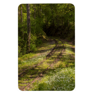 Imán Ferrocarril abandonado en un bosque