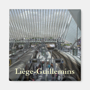 Imán Ferrocarril de Liège-Guillemins