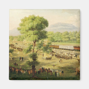 Imán Ferrocarril en el Valle de México, 1869