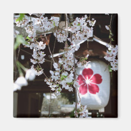 Imán Festival de florecimiento de cerezos en Kioto