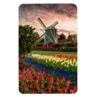 Imán Festival de Tulip