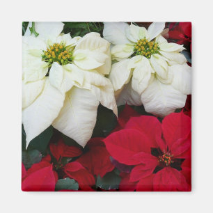 Imán Festividades de los Navidades de la posología blan
