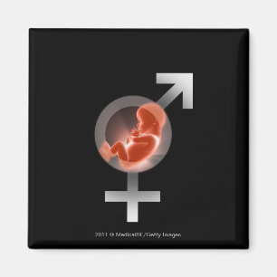 Imán Feto superpuesto sobre símbolos masculinos y femen