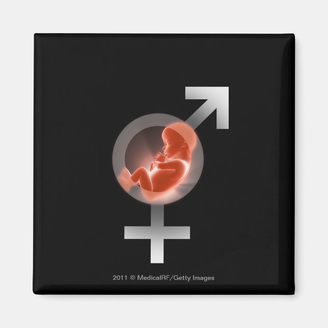 Imán Feto superpuesto sobre símbolos masculinos y femen (Frente)