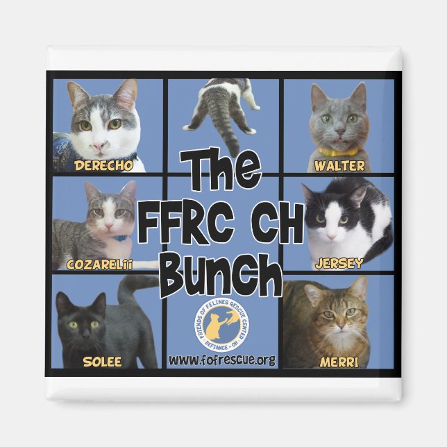 Imán FFRC CH Bunch Magnet (Frente)