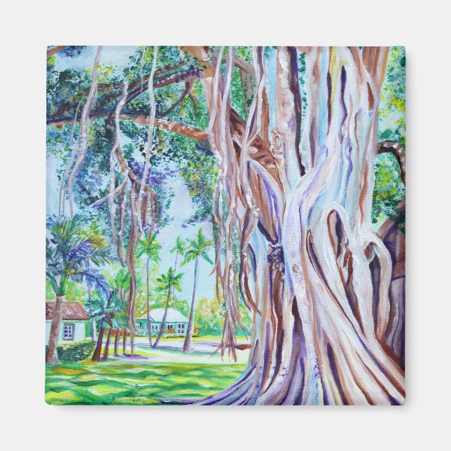 Imán Ficus en Waimea Plantation Cottages  (Frente)