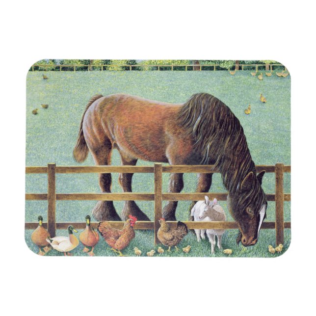 Imán Fiel vieja (Horizontal)