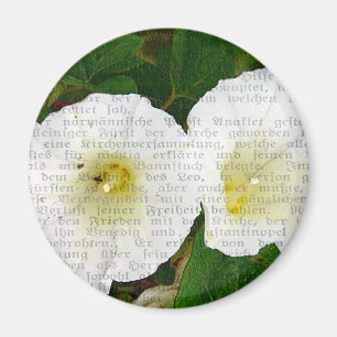Imán Field Bindweed Collage