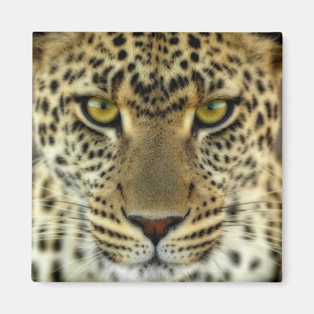 Imán Fierce Leopard (Frente)