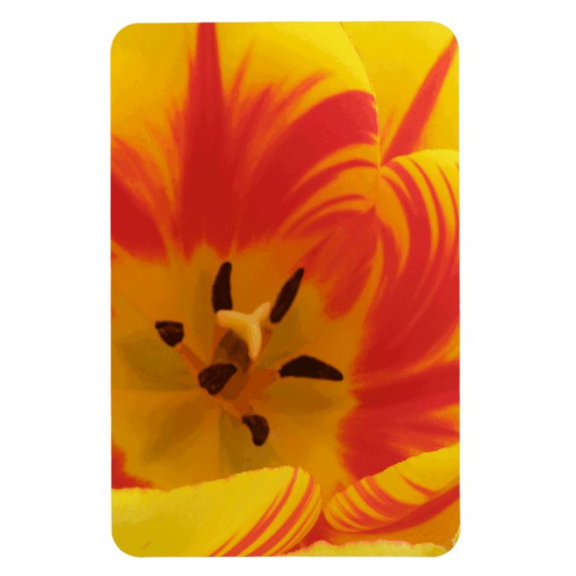 Imán Fiery Tulip Premium Magnet (Vertical)