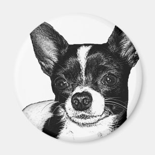 Imán Fiesta Chihuahua