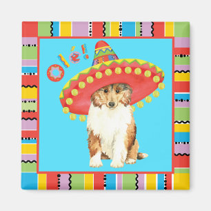 Imán Fiesta Collie Magnet