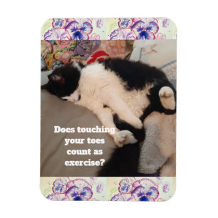 Imán Fiesta de Cumpleaños de Gato de Esmoquin Divertido