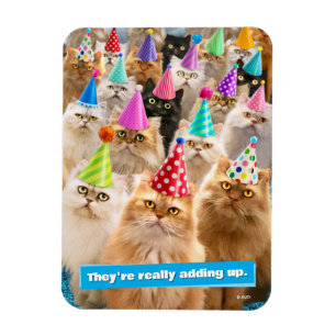 Imán Fiesta de Gatos
