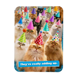Imán Fiesta de Gatos