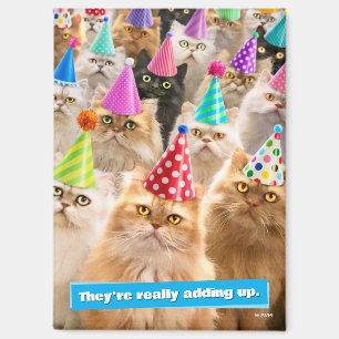 Imán Fiesta de Gatos