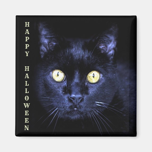 Imán Fiesta de Halloween Espíritu negro gato noche oscu (Frente)