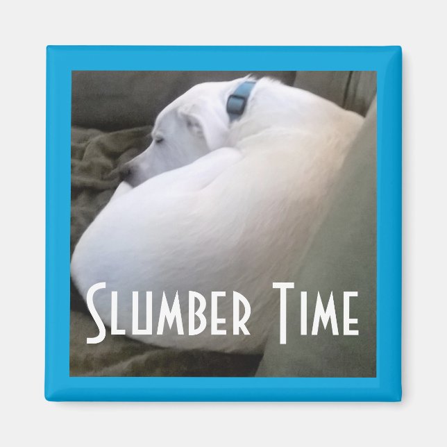 Imán Fiesta de Perro de Cachorro Cura Chubby Blanco Dur (Frente)