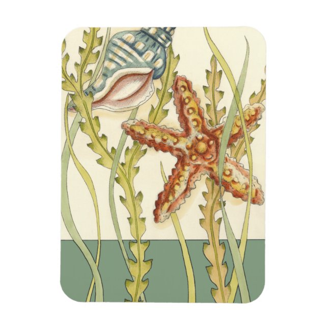 Imán Fiesta de shell multicolor (Vertical)