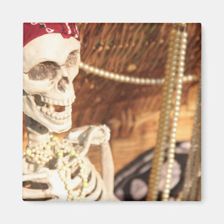 Imán ¡Fiesta del saqueo!