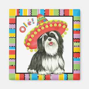 Imán Fiesta Havanese