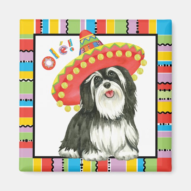 Imán Fiesta Havanese (Frente)