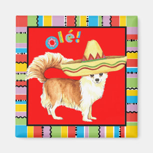 Imán Fiesta Long Coat Chihuahua