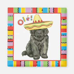 Imán Fiesta Newfoundland Magnet