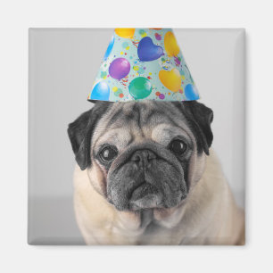 Imán Fiesta Pug