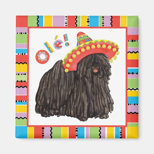 Imán Fiesta Puli Magnet (Frente)