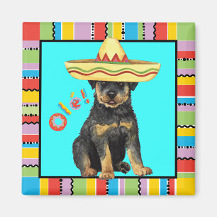 Imán Fiesta Rottweiler