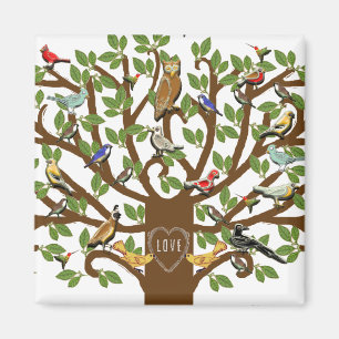 Imán Fiesta sindical familiar