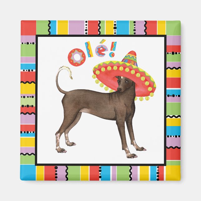 Imán Fiesta Xolo (Frente)