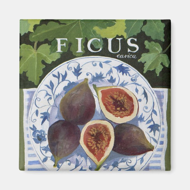 Imán Fieus (Frente)