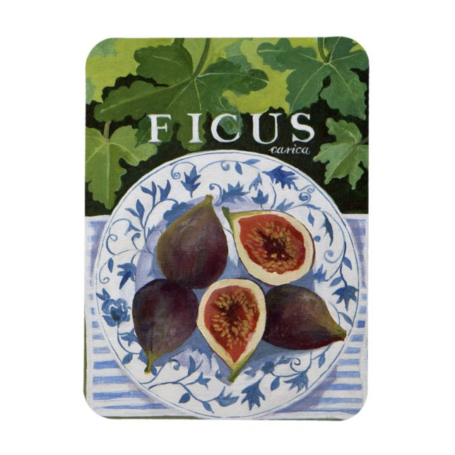 Imán Fieus (Vertical)