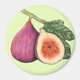 Imán Fig